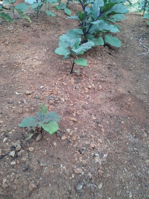 20160604_161727.jpg