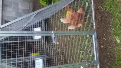 20160605_124636.jpg