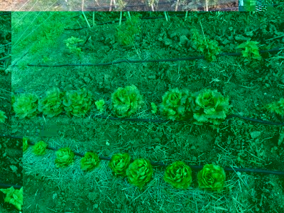20160610_191148.jpg