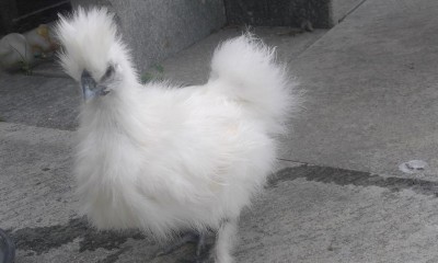 20160612_094752.jpg