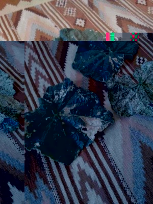 rsz_secondo2.jpg