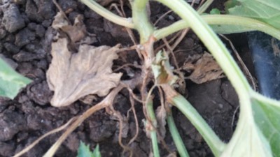 20160622_195049.jpg