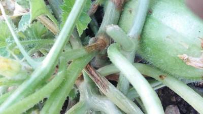 20160622_195039.jpg