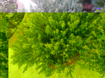 20160705_192224.jpg