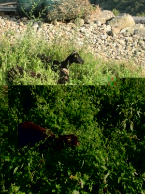 DSCN3524.JPG