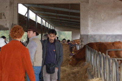 4 Ten. di Paganico_In attesa che spiova.jpg