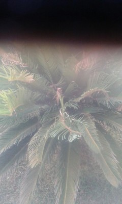 IMG-20160725-WA0016.jpg