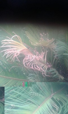 IMG-20160725-WA0017.jpg