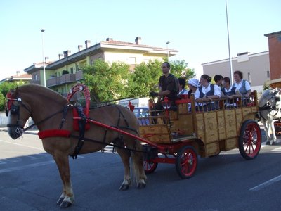 DSCF0822.JPG