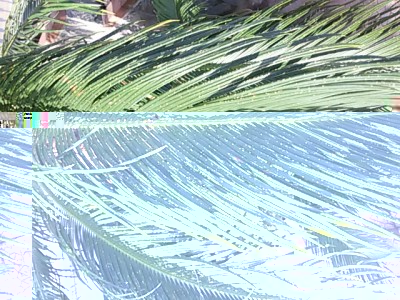 20160917_075028.jpg