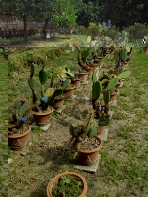 20160923_115917.jpg