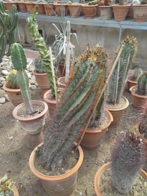 20160923_115408.jpg