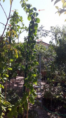 20160928_132119.jpg