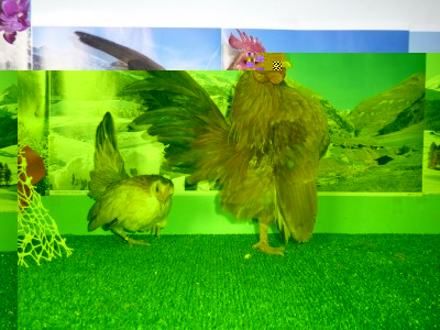 P1000038.JPG