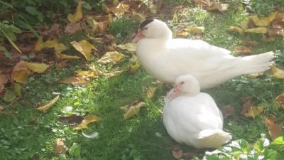 20161120_140251.jpg