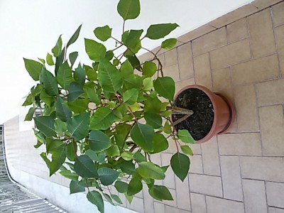 20161210_141047.jpg