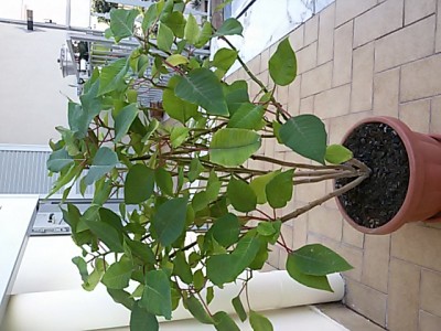 20161210_141113.jpg