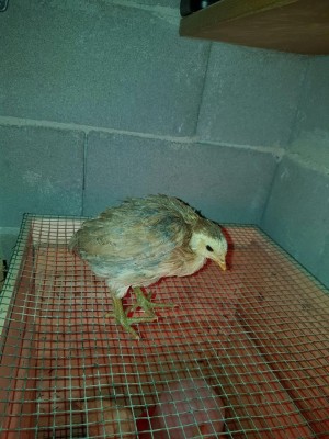 20170113_100829.jpg