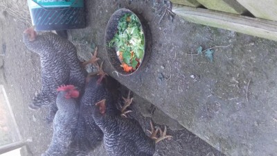 20170114_135726.jpg