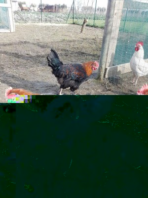 20170128_120214.jpg