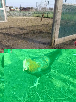 20170128_120145.jpg