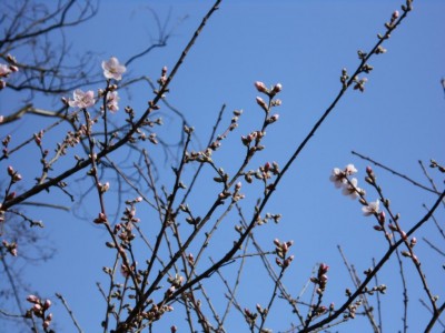 DSCN1485.JPG