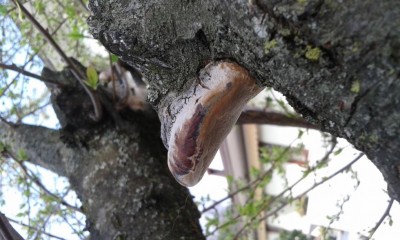 PHOTO_20170315_102533.jpg