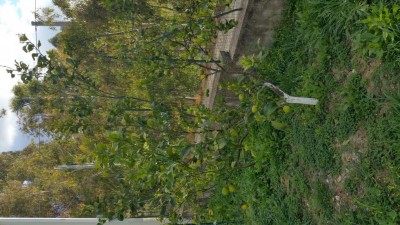20170328_173917.jpg
