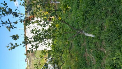 20170328_173937.jpg