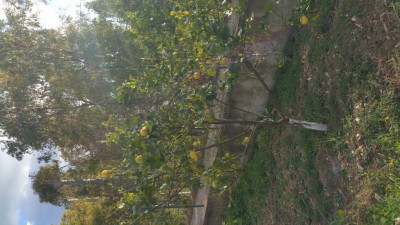 20170328_174003.jpg