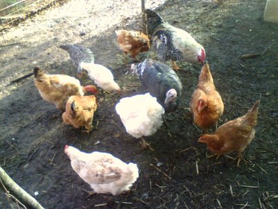 P02-12-10_10.31.jpg