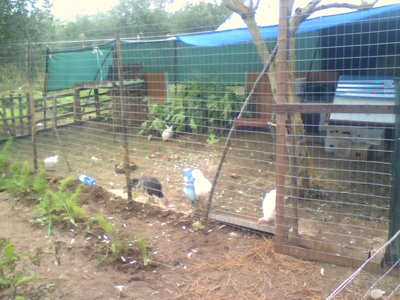 P06-10-09_12.54.jpg