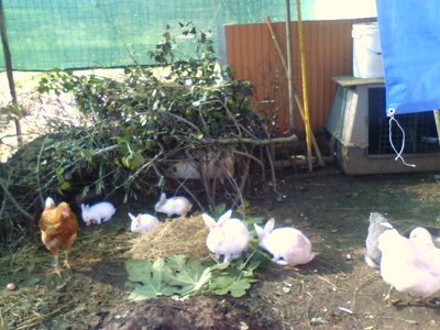 P31-10-09_10.55.jpg