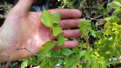 20170408_162946.jpg
