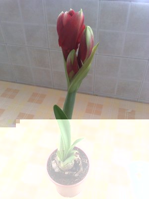 03122010370.jpg