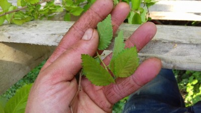20170408_162958.jpg