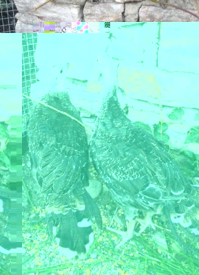 P_20170424_181749_1.jpg