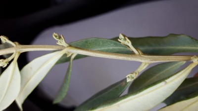 20170507_132853.jpg