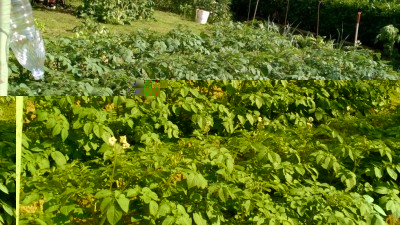 WP_20170513_16_50_28_Pro.jpg