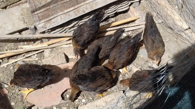 20170514_144624.jpg