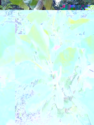 20170528_092045.jpg