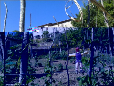 21062017panoramica-agrit2.jpg