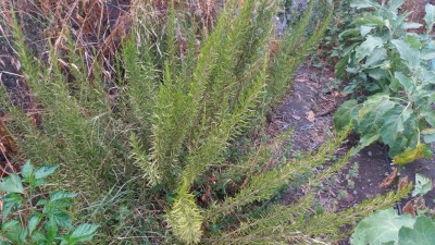 20170716_183859.jpg