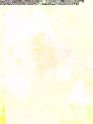 20171004_162332.jpg