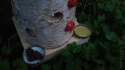 IMG_20171010_184648546.jpg