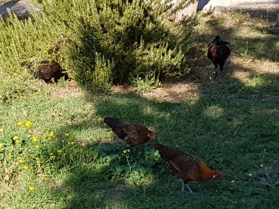 20171017_160643.jpg