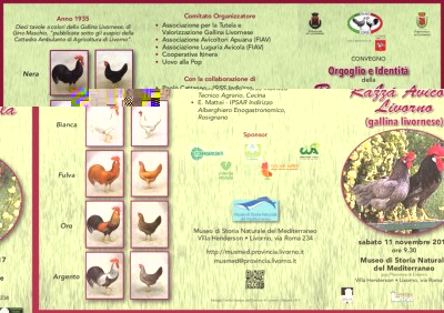 GallinaLivorno_pieghevole_2017_uff_stampa.jpg