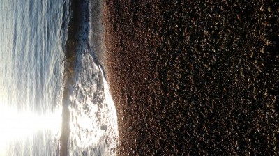 20171117_081448[1].jpg