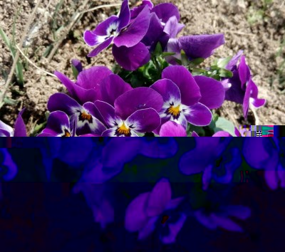20180307_121223-1.jpg