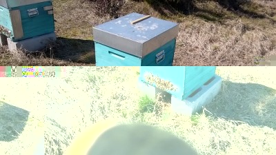 WP_20180313_14_15_46_Pro.jpg